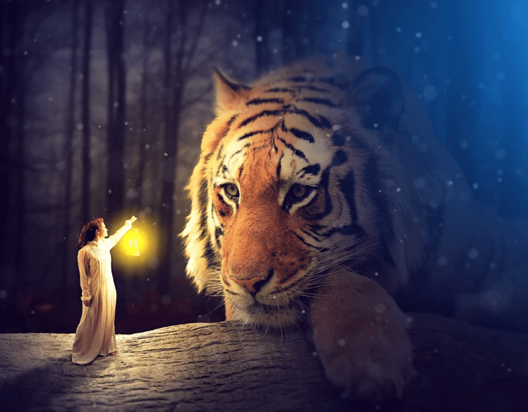 Interpreting Dreams About Friendly Tigers